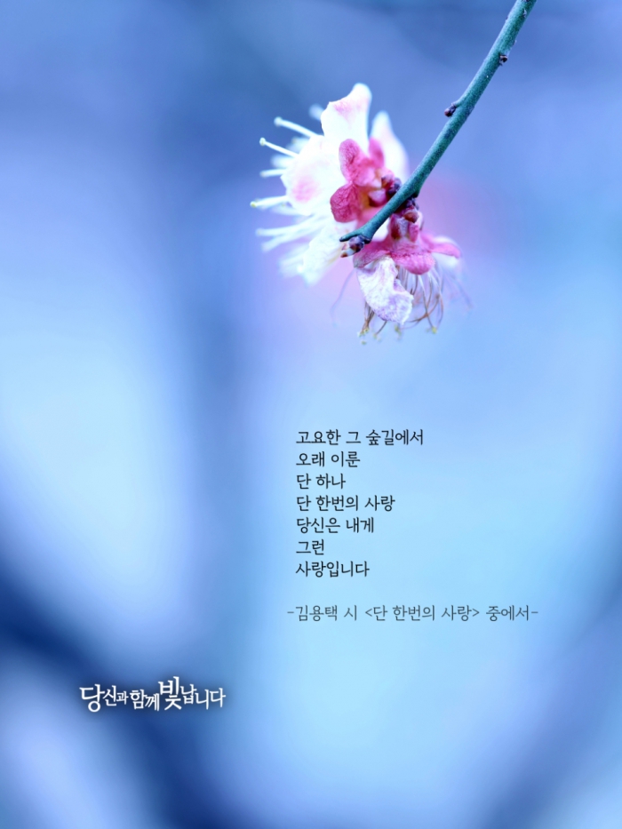 단 한번의 사랑