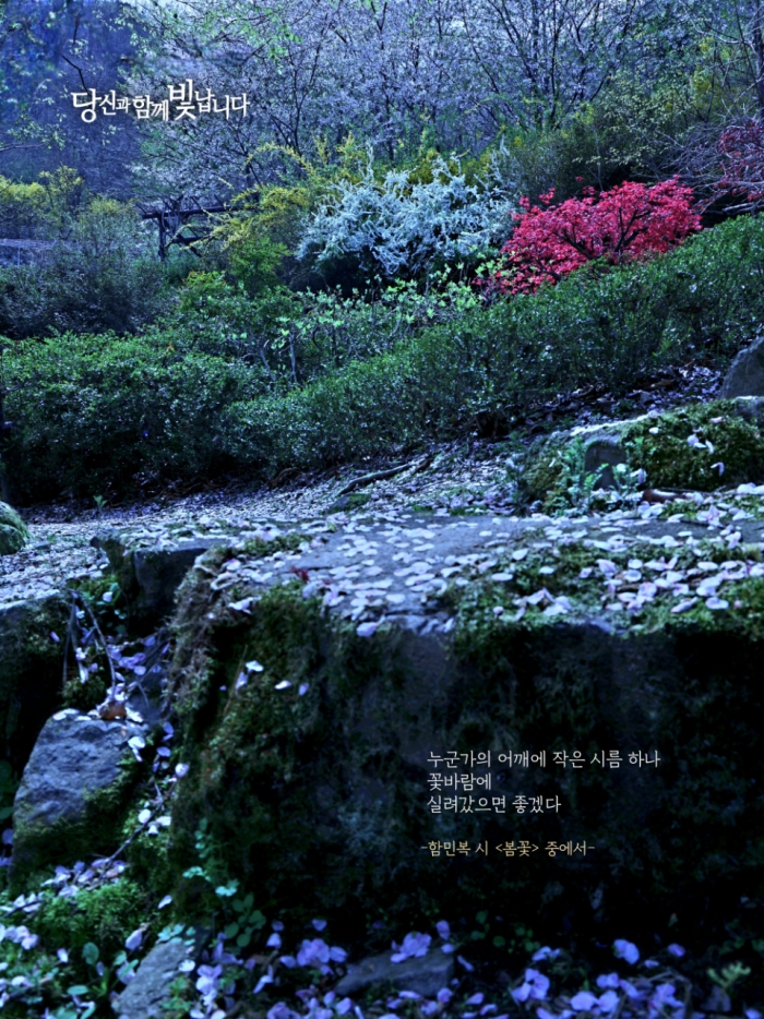 봄꽃