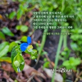 작은 사랑의 송가