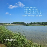 바람처럼 살고 싶다3