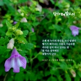 상처에 대하여