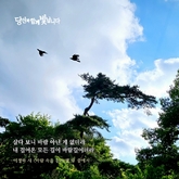 바람 속을 걷는 법 5