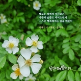 행복