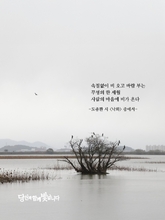 낙화