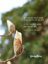 깨끗한 슬픔