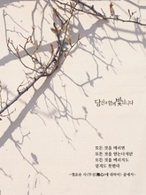 무심에 대하여