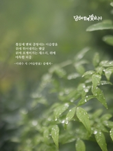 이슬방울