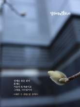 꽃 필 날