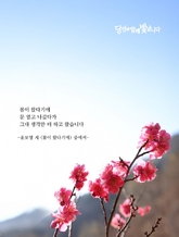 봄이 왔다기에