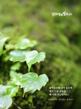끝기도