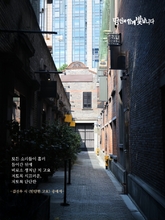 단단한 고요