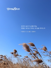 11월