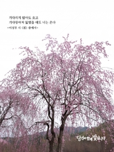 봄