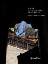 세월의 저쪽