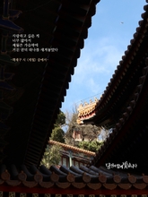 세월
