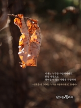 이제는 누구를 사랑하더라도
