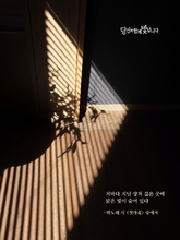 첫마음