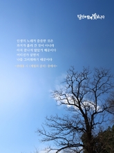 세월의 갈피