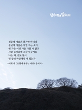 11월에 꿈꾸는 사랑