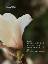 내 사랑은 가끔 목놓아 운다