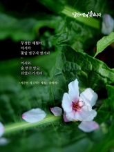 가는 세월