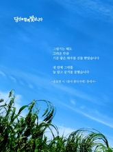 봄이 왔다기에