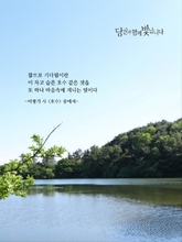 호수
