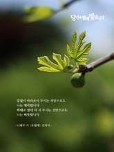 유월에