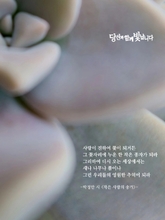 작은 사랑의 송가
