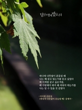 하나의 나뭇잎이 흔들리 때